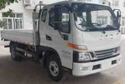 Jianghuai brand automobiles HFC1043P91K5C2V Truck