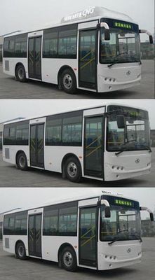 Jinlong  XMQ6801AGN5 City buses