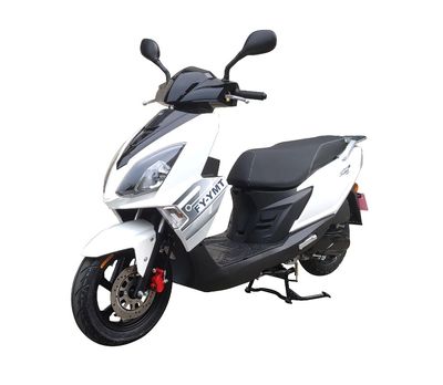 Feiying  FY110T9 Two wheeled motorcycles