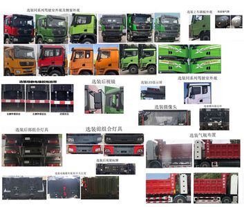 Shaanxi Automobile SX3319XC506T Dump truck