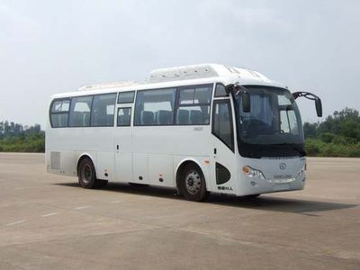 Jinlong  XMQ6996Y3 coach