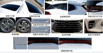 BYD  BYD6490STHEV2 Plug in hybrid multi-purpose passenger vehicles