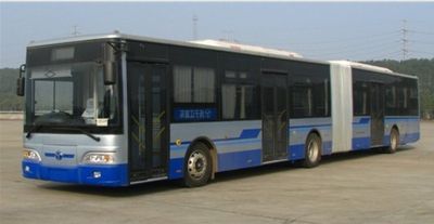 Yangtze River brand automobiles WG6180CHM4 City buses