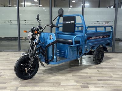 Jiubang  JB1200DZH9C Electric tricycle