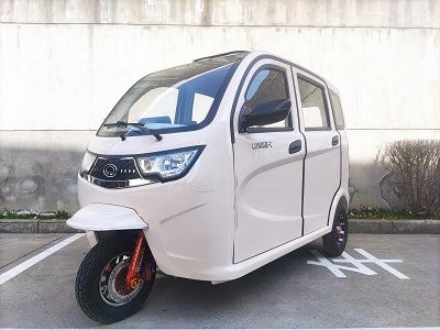 Luju  LJ1500DZKC Electric tricycle