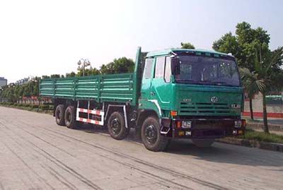 Hongyan CQ1303TMG466Truck