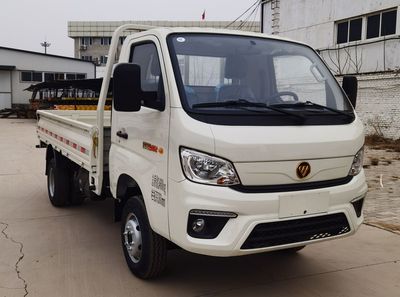 Foton  BJ1032V5JV619 Truck