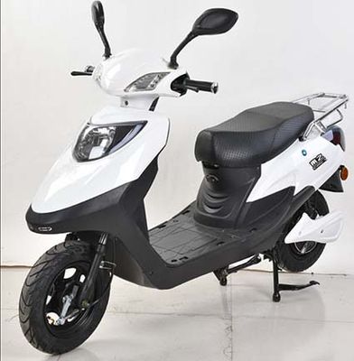 Dongzhi  DZ1200DQT7B Electric two wheeled light motorcycle