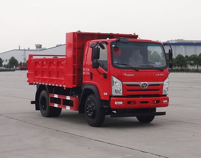 Shitong STQ3101L03Y1N6Dump truck