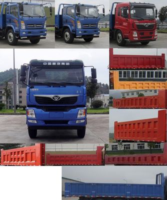 Zhongchen  FDQ32503EM Dump truck