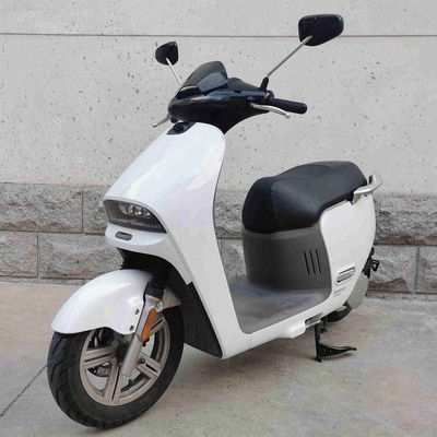 Blue Shark  LS3000DT Electric two wheeled motorcycle