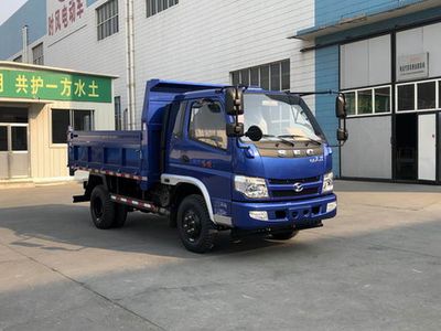 Shifeng  SSF3046DDP53S Dump truck