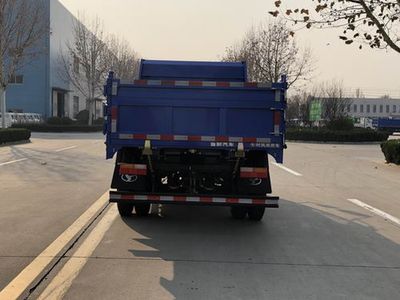 Shifeng  SSF3046DDP53S Dump truck