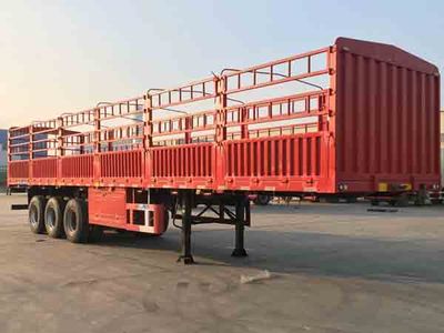 CIMCZJV9381CCYQDGantry transport semi-trailer