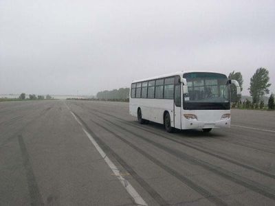 Huanghai  DD6113K11 coach