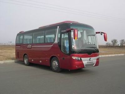 Huanghai  DD6896K13 coach