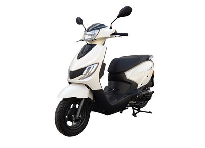 Qingqi Suzuki  QS110T5 Two wheeled motorcycles