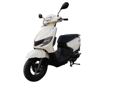 Qingqi Suzuki  QS110T5 Two wheeled motorcycles