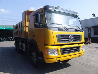 Dayun  DYX3251PA41WPD3C Dump truck