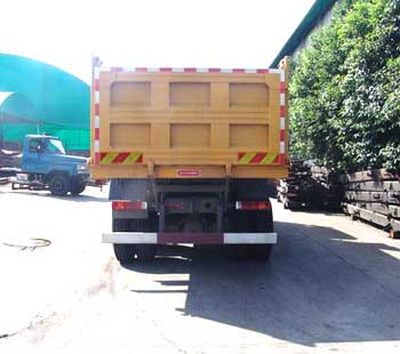 Dayun  DYX3251PA41WPD3C Dump truck