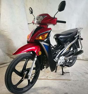 Wuyang  WY110D Two wheeled motorcycles