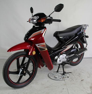 Wuyang  WY110D Two wheeled motorcycles