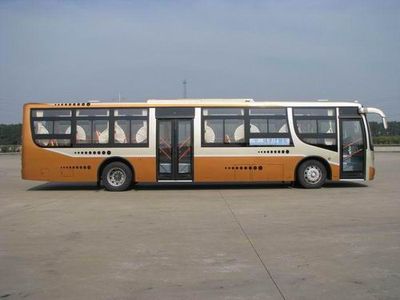 Yangtze River brand automobiles WG6120NQE City buses