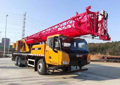 Sany  SYM5343JQZSTC250T5 Car crane