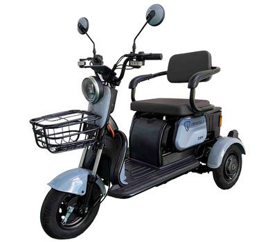 Lima  LM500DQZ3 Electric three wheeled light motorcycle