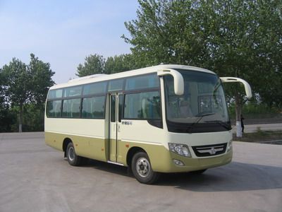 Shuchi YTK6741F3coach