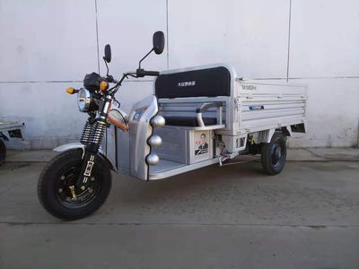 Da An Ronaldo DA1500DZH6 Electric tricycle