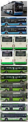 Chinese license plate cars TEG6105BEV09 Pure electric city buses