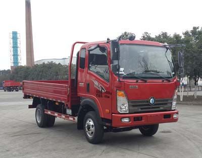 Ace car CDW3080HA2Q4 Dump truck