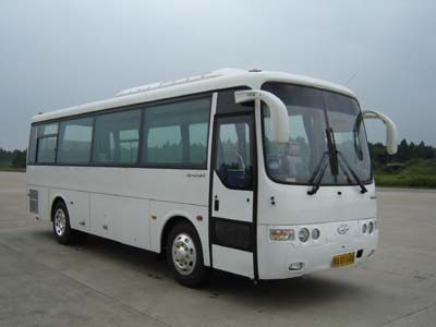 Heke  HK6860C1 coach