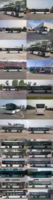 Foton  BJ6105EVCA59 Pure electric city buses