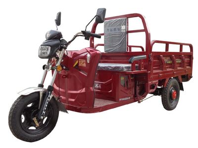 Dayun  DY1200DZH60 Electric tricycle