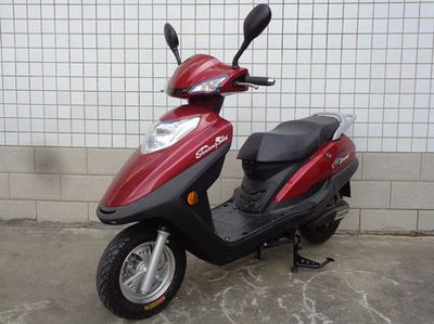 Shuangshi  SS1000DQT Electric two wheeled light motorcycle