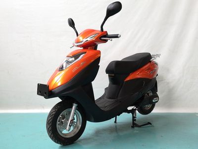 Shuangshi  SS1000DQT Electric two wheeled light motorcycle