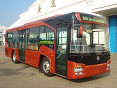 Guangtong AutomobileGTQ6107N4GJ3City buses