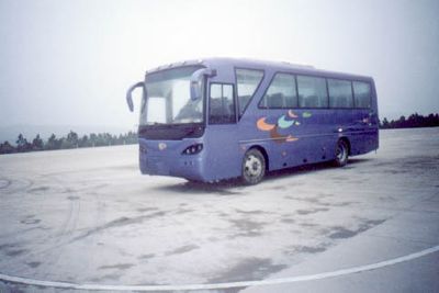 Yuzhou HYK6890HZC1coach