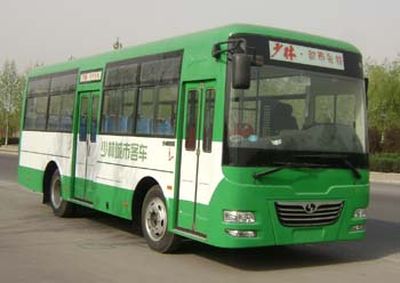 Shaolin SLG6800T4GECity buses