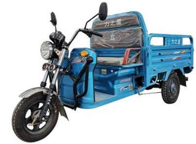 Li Zhi Xing  LZX1500DZH Electric tricycle