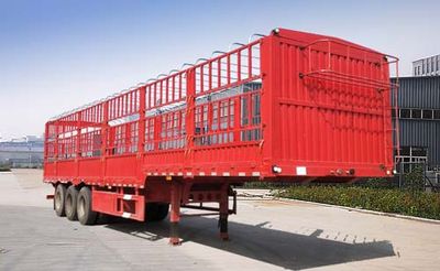 Fude Gold Medal Automobile FDJ9405CCYE Gantry transport semi-trailer