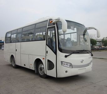 Dongyu  NJL6878Y coach