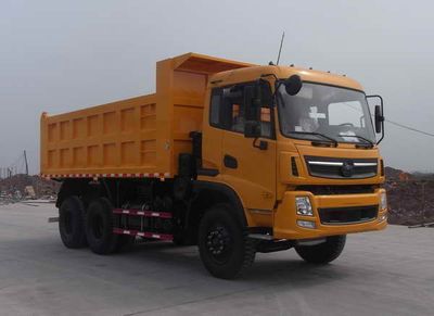 Nanjun CNJ3250ZRPA48BDump truck