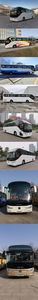 Foton  BJ6122U8BJBN1 coach