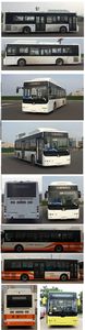 Chinese license plate cars TEG6106EHEVN11 Plug in hybrid urban buses