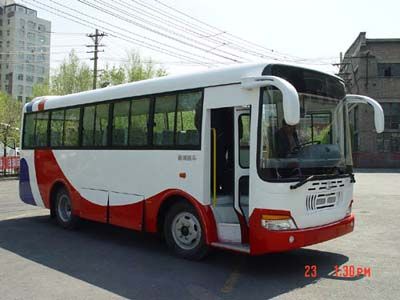 Xiyu  XJ6798TC coach