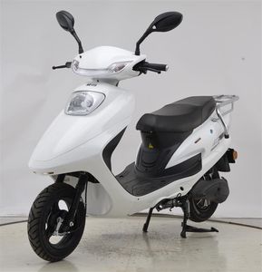 Emma  AM500DQT8A Electric two wheeled light motorcycle