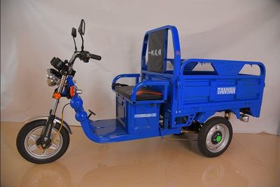 Tianyang  TY1200DZH3C Electric tricycle